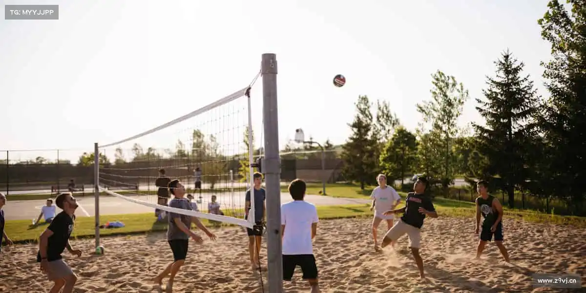 <strong>黑料365</strong>深耕影视行业沃土，打造有温度、有力量的视听盛宴🔥